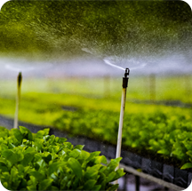 Agricultural-Irrigation