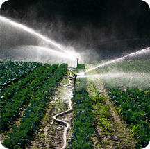 Agricultural Irrigation