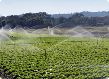 Efficient-Water-Management in-Agriculture