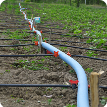 Irrigation & Agricultural Applications