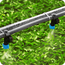 Sprinkler Irrigation